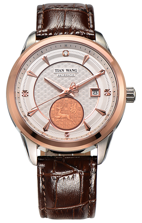 其他系列 GS5806TP/D